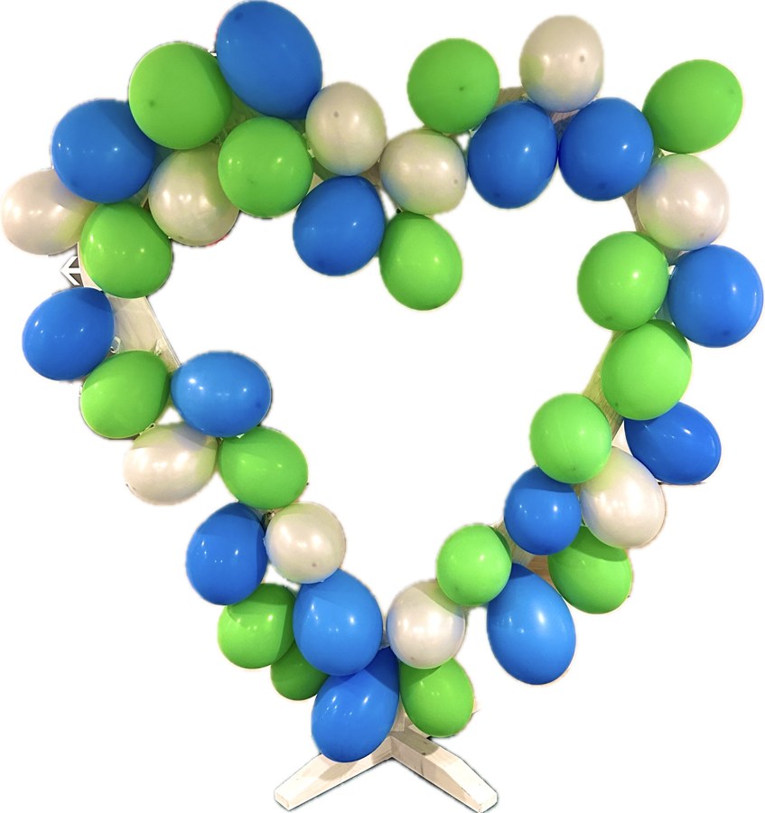 Ballon-Herz — Kardiologie & Rhythmologie Solingen
